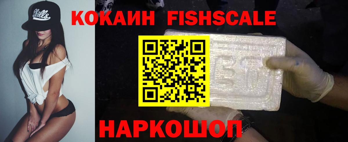 Cocaine FishScale  Вход с VPN  Михайловск  Cocaine FishScale 