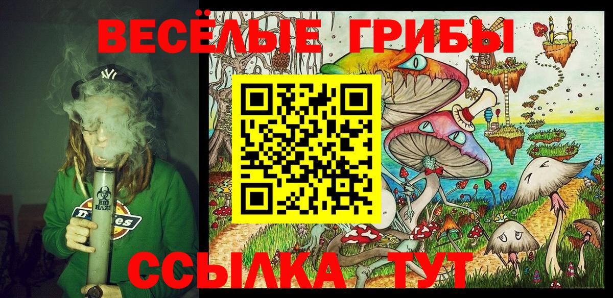 Михайловск  Галлюциногенные грибы GOLDEN TEACHER  Вход с VPN 